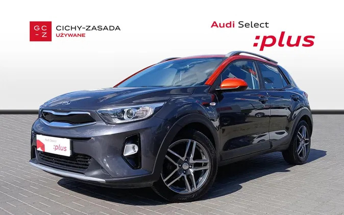 kia stonic annopol Kia Stonic cena 64900 przebieg: 56500, rok produkcji 2019 z Annopol